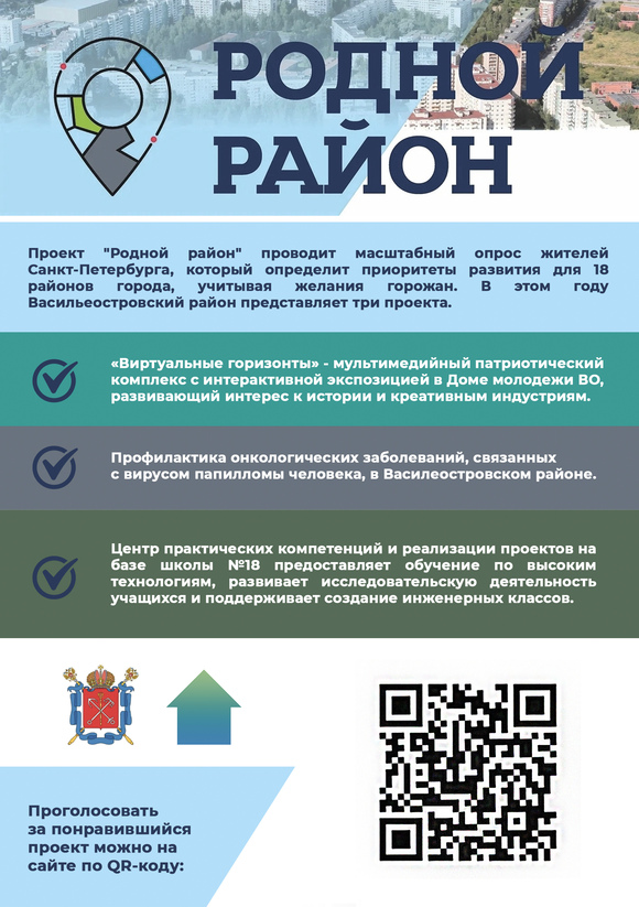 Реализация проекта "Родной район" в Василеостровском районе